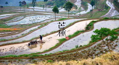 2019年世界环境日蓝天保卫战,我是行动者